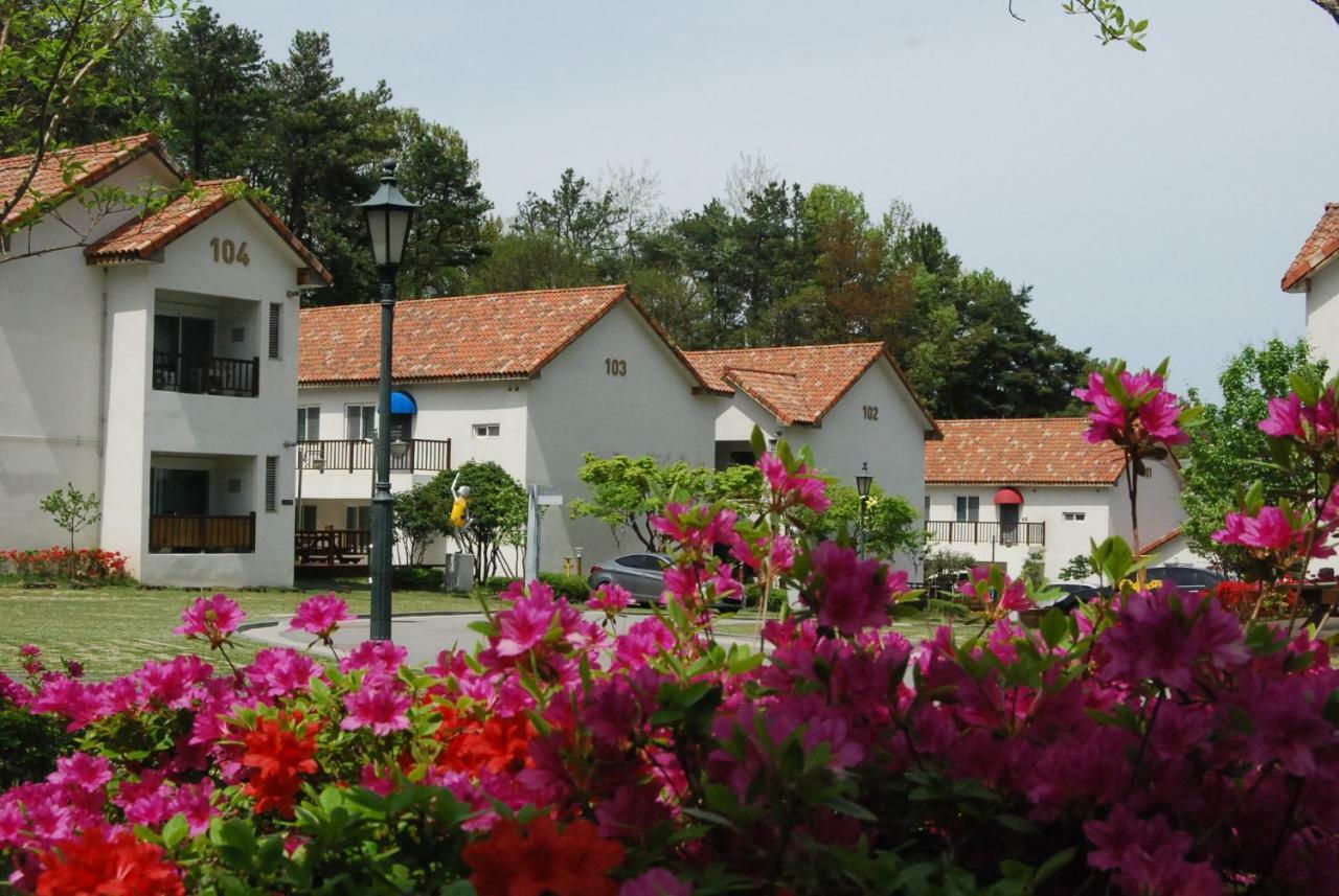 Meta Pension, Damyang Exteriér fotografie